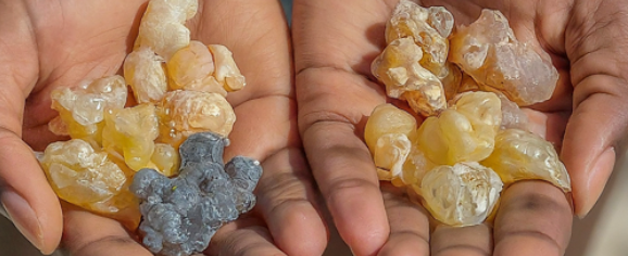 Frankincense Colors: A Spectrum of Aroma and Origins – Fatima's ...